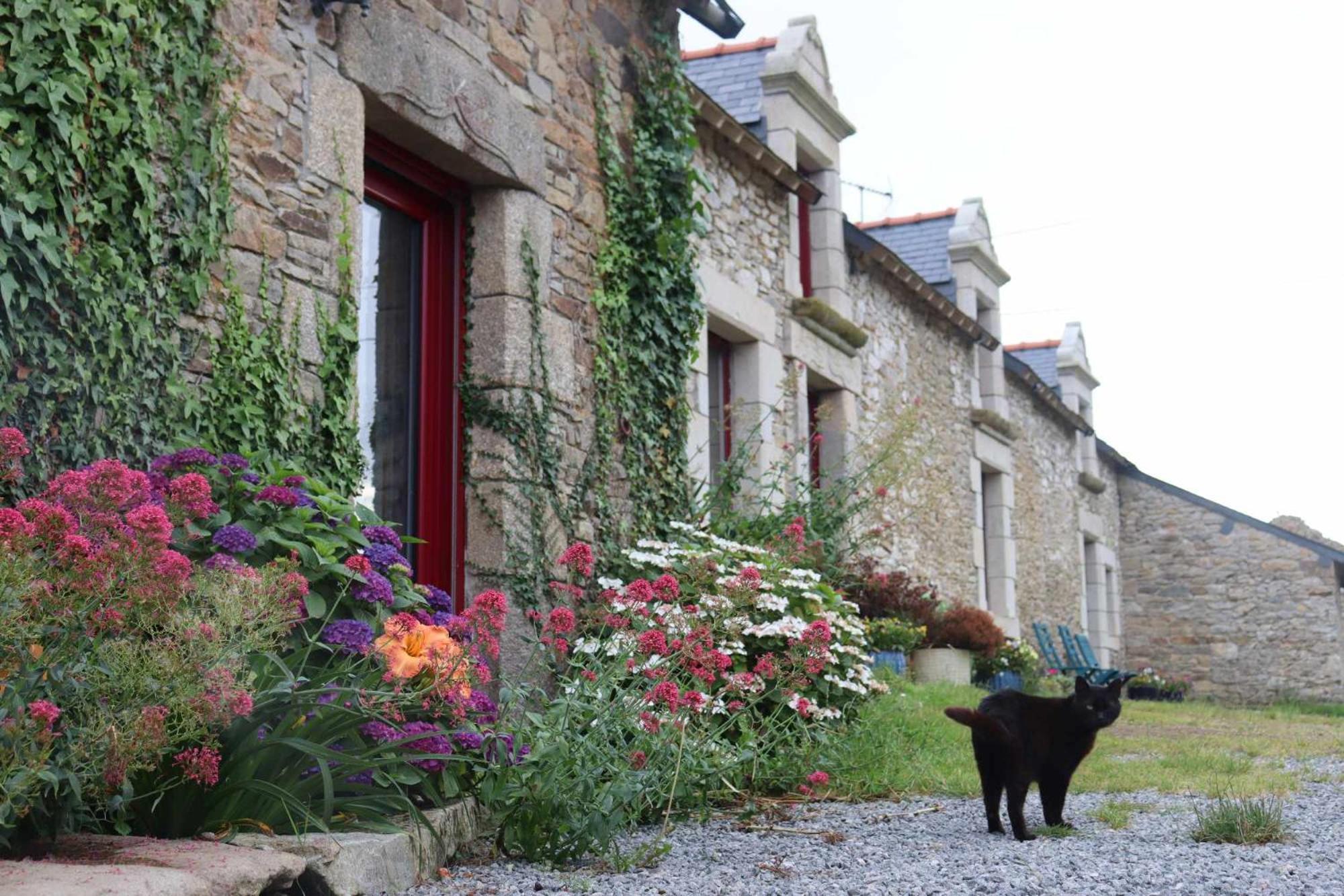 Bed and Breakfast La Petite Bérais Missillac Exterior foto